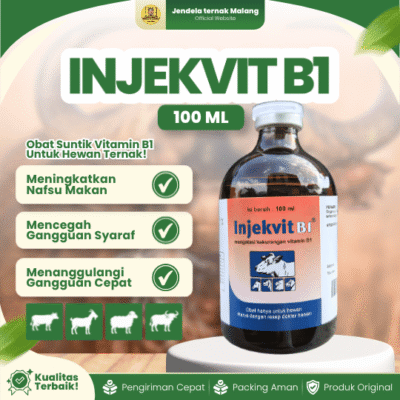 INJEKVIT B1 100 ML – Vitamin Untuk Mencegah Gangguan Syaraf & Menambah Selera Makan Hewan.