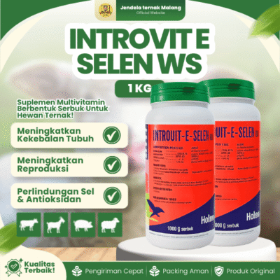 INTROVIT E SELEN WS 1 KG – Vit E Selenium Meningkatkan Fertilitas & Sistem Kekebalan Tubuh.