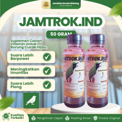 JAMTROK.IND – Vitamin Doping Burung Cucak Hijau Rajin Kicau Dan Suara Lebih Berpower.