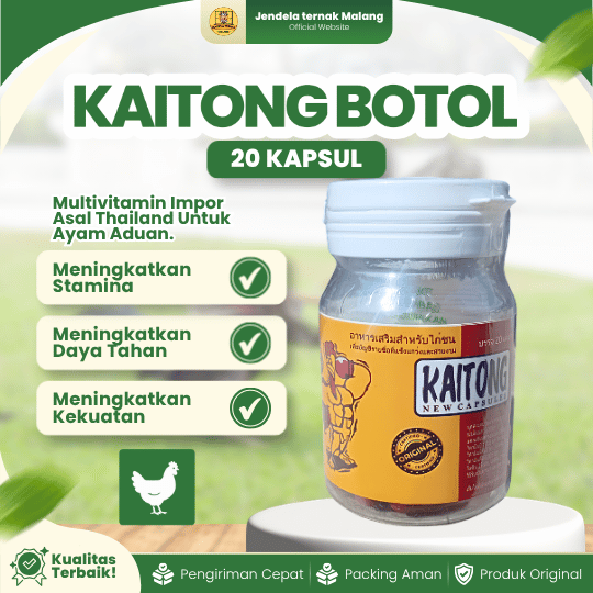 KAITONG BOTOL 20 KAPSUL - Doping Penambah Tenaga Untuk Ayam Premium Original Thailand.