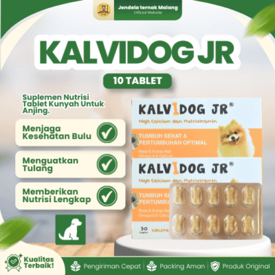 KALVIDOG JR 1 BLISTER (10 TABLET) – Multivitamin Untuk Meningkatkan Imunitas dan Daya Tahan Tubuh Puppy Anjing