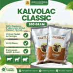KALVOLAC CLASSIC 500 GRAM – Milk Replacer Susu Kolostrum Untuk Hewan Ternak.
