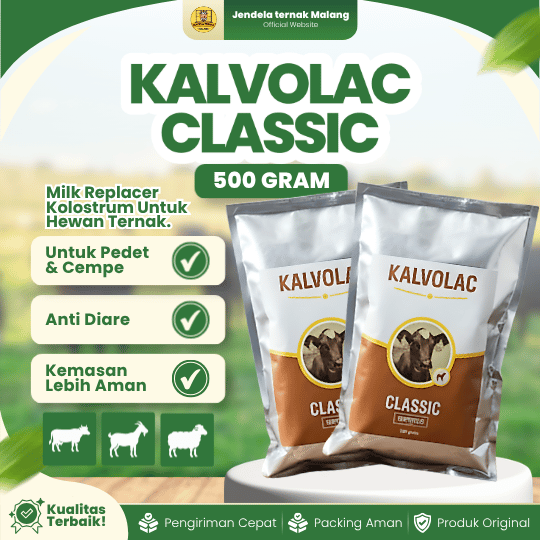 KALVOLAC CLASSIC 500 GRAM - Milk Replacer Susu Kolostrum Untuk Hewan Ternak.