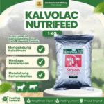 KALVOLAC NUTRIFEED 1 KG – Susu Pengganti Induk Cempe, Pedet & Hewan Ternak Lainnya.