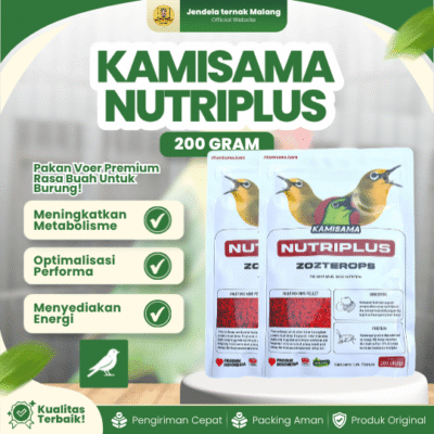 KAMISAMA NUTRIPLUS 200 GRAM – Pakan Voer Pleci Untuk Meningkatkan Metabolisme Pada Burung.
