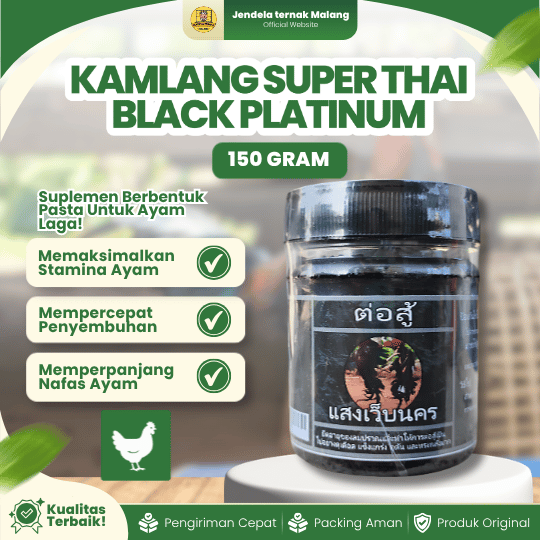 KAMLANG SUPER BLACK PLATINUM 150 GRAM THAILAND - Untuk Menjaga Stamina & Tenaga Ayam.