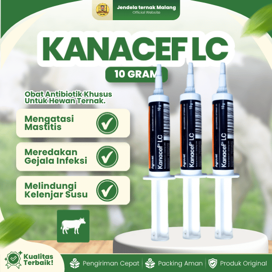 KANACEF LC 1 PCS 10 GRAM - Untuk Masalah Mastitis Pada Hewan Ternak Sapi