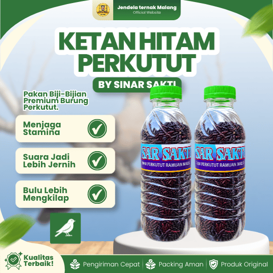 KETAN HITAM PERKUTUT BY SINAR SAKTI - Ramuan Madura khusus Menjaga Stamina & kesehatan Burung