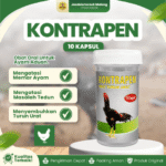 KONTRAPEN 10 KAPSUL RAID-ALL – Untuk Masalah Turun Urat Pada Ayam
