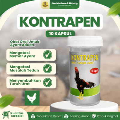 KONTRAPEN 10 KAPSUL RAID-ALL – Untuk Masalah Turun Urat Pada Ayam