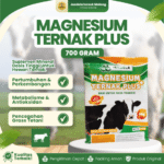 MAGNESIUM TERNAK PLUS 700 GRAM – Suplemen Mineral Mengatasi Kekurangan Magnesium Hewan Ternak