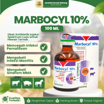 MARBOCYL 10% 100 ML – Untuk Pernafasan Pada Ternak Sapi, Babi, Kuda