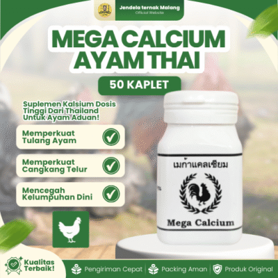 KALSIUM AYAM MEGA CALCIUM THAI 50 KAPLET – Memperkokoh Tulang Ayam Petarung