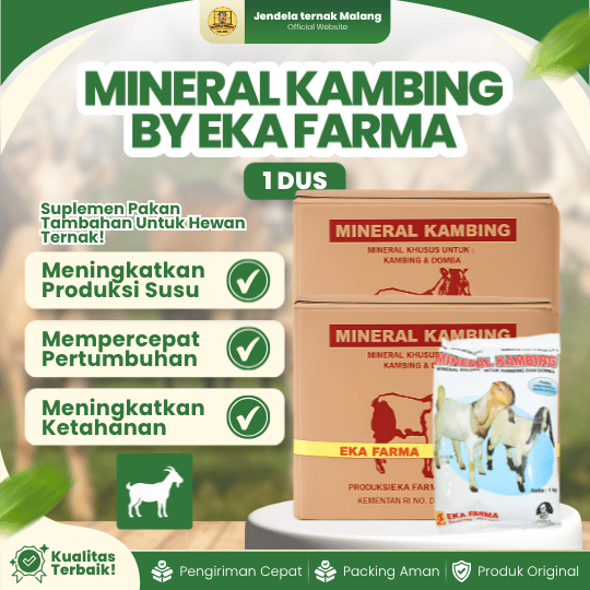 MINERAL KAMBING 1 KG 1 DUS ISI 20 KG - Mineral Untuk Mempercepat Pertumbuhan & Mencegah Kelumpuhan Kambing Domba