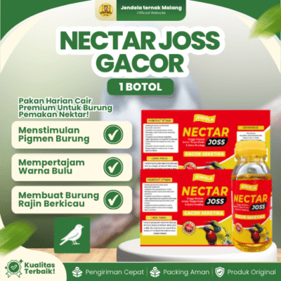 NECTAR JOSS GACOR – Nectar Premium Untuk Memperbagus Bulu & Burung Sering Berkicau.