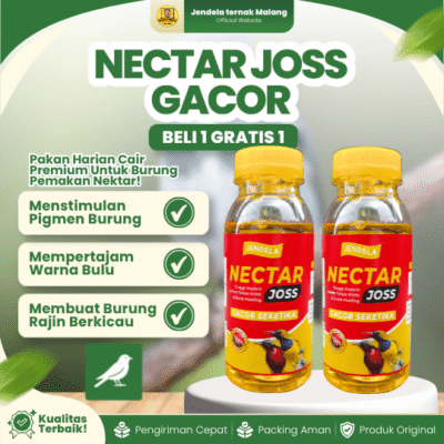 PROMO!!! NECTAR JOSS GACOR BELI 1 GRATIS 1 – Nektar PREMIUM Kolibri Konin Sogon