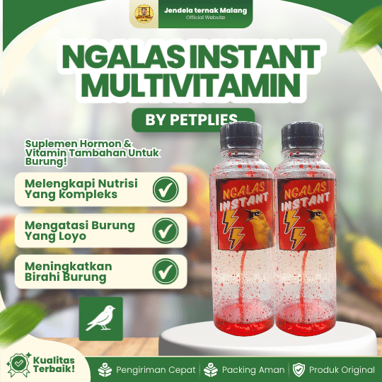 NGALAS INSTANT MULTIVITAMIN - Suplemen Untuk Burung Pleci & Lainnya.