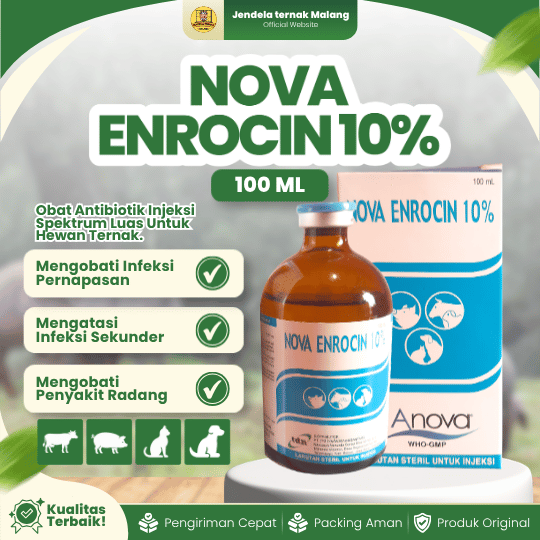 NOVA ENROCIN 10% 100 ML - Untuk Saluran Pernafasan & Pencernaan Hewan.