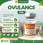 OVULANCE 2 ML - Untuk Memperbaiki Fungsi Reproduksi Pada Hewan Ternak.