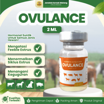 OVULANCE 2 ML – Untuk Memperbaiki Fungsi Reproduksi Pada Hewan Ternak.