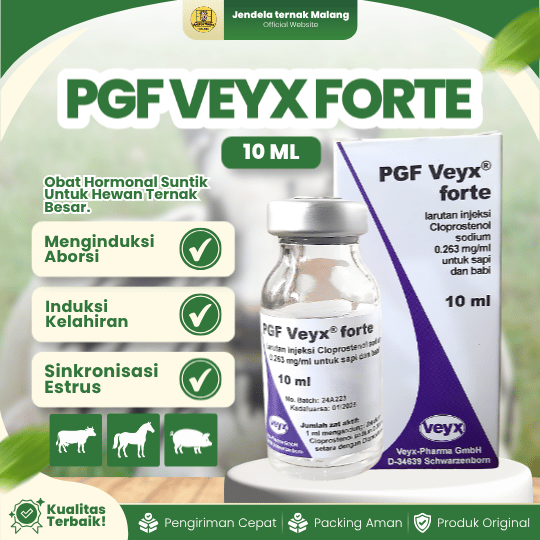 PGF VEYX FORTE 10 ML – Untuk Mengatur Siklus & Masalah Reproduksi Hewan Ternak.