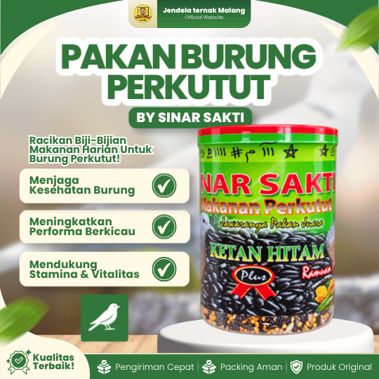PAKAN BURUNG PERKUTUT BY SINAR SAKTI - Untuk Memenuhi Kebutuhan Harian Burung