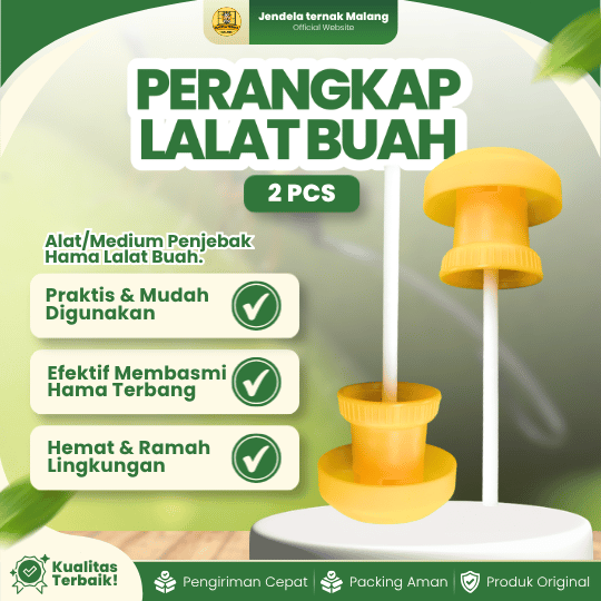 PERANGKAP LALAT BUAH - Perangkap Lalat Praktis, Efektif & Ramah Lingkungan.