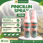 PINICILLIN SPRAY 100 ML – Mengatasi Luka, Gatal & Koreng Pada Hewan Ternak.