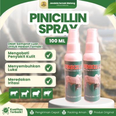 PINICILLIN SPRAY 100 ML – Mengatasi Luka, Gatal & Koreng Pada Hewan Ternak.