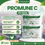 PROMUNE C 100 GRAM VADCO – Vitamin C, E & Selenium Untuk Meningkatkan Daya Tahan Unggas Ayam