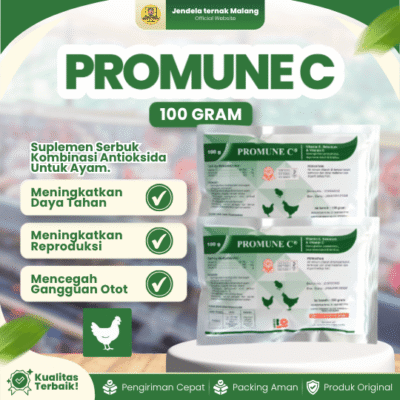 PROMUNE C 100 GRAM VADCO – Vitamin C, E & Selenium Untuk Meningkatkan Daya Tahan Unggas Ayam