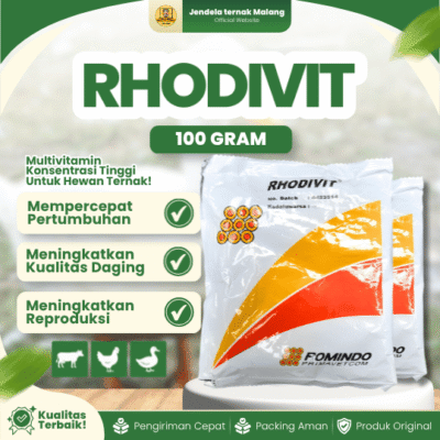 RHODIVIT 100 GRAM –  Multivitamin Untuk Produktivitas Pada Ayam, Bebek, Puyuh, Sapi Dan Kambing.
