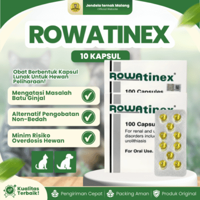 ROWATINEX ISI 10 KAPSUL – Untuk Batu Ginjal Pada Hewan Kesayangan.