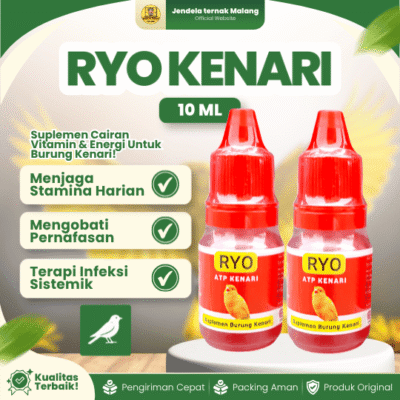 RYO KENARI 10 ML – Suplemen Vitamin Burung Kenari Energi Lebih Maksimal.