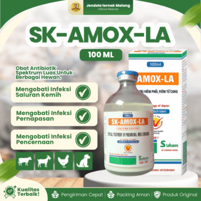 SK-AMOX-LA 100 ML – Untuk Mengatasi Anti Pencernaan Pada Hewan Ternak Like Betamox.