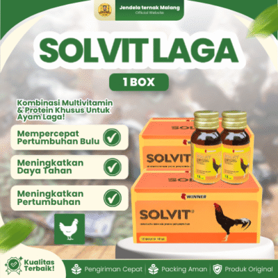 SOLVIT WINNER MEDION 1 BOX (12 BOTOL) – Vitamin Untuk Mempercepat Pertumbuhan Bulu & Daya Tahan Tubuh Ayam