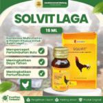 SOLVIT LAGA 15 ML WINNER BY MEDION - Vitamin Penumbuh & Meningkatkan Pertumbuhan Bulu Ayam Laga.