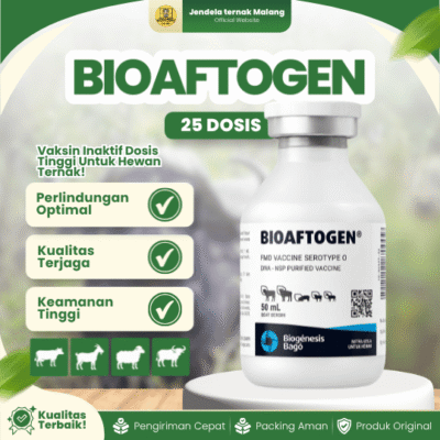 BIOAFTOGEN 25 DOSIS – Vaksin PMK Tanpa Reaksi Pasca Vaksinasi Pada Hewan Ternak.