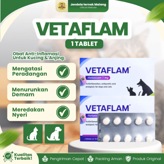 VETAFLAM TABLET - Untuk Meredakan Nyeri, Peradangan, dan Demam Pada Anjing dan Kucing