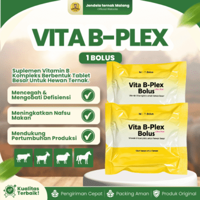 VITA B PLEX BOLUS ECER BY MEDION – Meningkatkan Selera Makan & Pertumbuhan Hewan Ternak.