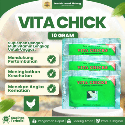 VITA CHICK 10 GRAM SACHET BY MEDION – Vitamin Pertumbuhan Anak Ayam, Burung & Unggas.