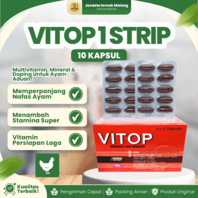 VITOP 1 STRIP 10 KAPSUL – Multivitamin Ayam Laga Penambah Stamina.