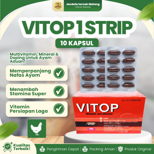 VITOP 1 STRIP 10 KAPSUL - Multivitamin Ayam Laga Penambah Stamina.