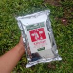 KALVOLAC NUTRIFEED 1 KG - Susu Pengganti Induk Cempe, Pedet & Hewan Ternak Lainnya.