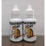 GASTROEN CAT 20 ML - Mengatasi Diare, Kembung, Muntah, Lemas & Hilang Selera Makan Pada Kucing.
