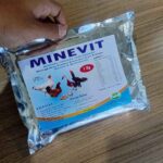 MINEVIT 1 KG RAID-ALL - Mineral Multivitamin Untuk Meningkatkan Kualitas Kesehatan Ayam & Bebek