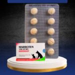 MARBOTEN TAB 20 MG TABLET - Untuk Masalah Saluran Pernapasan, Kulit & Sistem Urinari Anjing, Kucing, Kelinci