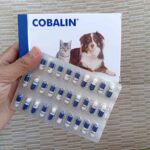 COBALIN KAPSUL BY VETPLUS - Suplemen Yang Kekurangan Vitamin B9 & B12 Untuk Anjing & Kucing.